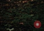Image of Sylvania Recreation Area Michigan United States USA, 1967, second 32 stock footage video 65675068312