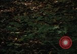 Image of Sylvania Recreation Area Michigan United States USA, 1967, second 33 stock footage video 65675068312