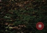 Image of Sylvania Recreation Area Michigan United States USA, 1967, second 34 stock footage video 65675068312