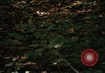 Image of Sylvania Recreation Area Michigan United States USA, 1967, second 37 stock footage video 65675068312