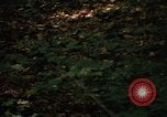 Image of Sylvania Recreation Area Michigan United States USA, 1967, second 38 stock footage video 65675068312