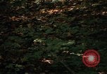 Image of Sylvania Recreation Area Michigan United States USA, 1967, second 39 stock footage video 65675068312