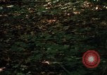 Image of Sylvania Recreation Area Michigan United States USA, 1967, second 43 stock footage video 65675068312