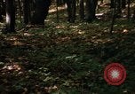 Image of Sylvania Recreation Area Michigan United States USA, 1967, second 45 stock footage video 65675068312
