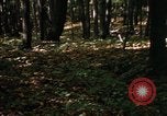 Image of Sylvania Recreation Area Michigan United States USA, 1967, second 46 stock footage video 65675068312