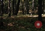 Image of Sylvania Recreation Area Michigan United States USA, 1967, second 47 stock footage video 65675068312