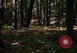 Image of Sylvania Recreation Area Michigan United States USA, 1967, second 48 stock footage video 65675068312