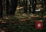 Image of Sylvania Recreation Area Michigan United States USA, 1967, second 49 stock footage video 65675068312