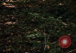 Image of Sylvania Recreation Area Michigan United States USA, 1967, second 52 stock footage video 65675068312