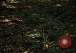Image of Sylvania Recreation Area Michigan United States USA, 1967, second 54 stock footage video 65675068312