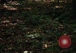 Image of Sylvania Recreation Area Michigan United States USA, 1967, second 55 stock footage video 65675068312