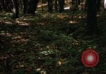Image of Sylvania Recreation Area Michigan United States USA, 1967, second 56 stock footage video 65675068312