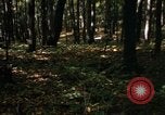 Image of Sylvania Recreation Area Michigan United States USA, 1967, second 57 stock footage video 65675068312