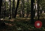 Image of Sylvania Recreation Area Michigan United States USA, 1967, second 58 stock footage video 65675068312