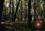 Image of Sylvania Recreation Area Michigan United States USA, 1967, second 59 stock footage video 65675068312
