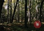 Image of Sylvania Recreation Area Michigan United States USA, 1967, second 60 stock footage video 65675068312