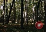 Image of Sylvania Recreation Area Michigan United States USA, 1967, second 61 stock footage video 65675068312