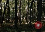 Image of Sylvania Recreation Area Michigan United States USA, 1967, second 62 stock footage video 65675068312