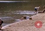 Image of Sylvania Recreation Area Michigan United States USA, 1967, second 40 stock footage video 65675068313
