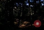 Image of Sylvania Recreation Area Michigan United States USA, 1967, second 3 stock footage video 65675068315
