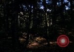 Image of Sylvania Recreation Area Michigan United States USA, 1967, second 4 stock footage video 65675068315
