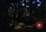 Image of Sylvania Recreation Area Michigan United States USA, 1967, second 5 stock footage video 65675068315