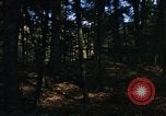 Image of Sylvania Recreation Area Michigan United States USA, 1967, second 6 stock footage video 65675068315