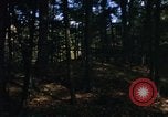 Image of Sylvania Recreation Area Michigan United States USA, 1967, second 7 stock footage video 65675068315