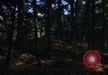 Image of Sylvania Recreation Area Michigan United States USA, 1967, second 8 stock footage video 65675068315