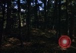 Image of Sylvania Recreation Area Michigan United States USA, 1967, second 9 stock footage video 65675068315