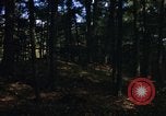 Image of Sylvania Recreation Area Michigan United States USA, 1967, second 10 stock footage video 65675068315