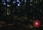Image of Sylvania Recreation Area Michigan United States USA, 1967, second 11 stock footage video 65675068315