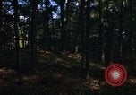 Image of Sylvania Recreation Area Michigan United States USA, 1967, second 12 stock footage video 65675068315
