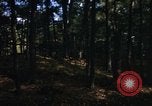 Image of Sylvania Recreation Area Michigan United States USA, 1967, second 13 stock footage video 65675068315
