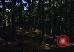 Image of Sylvania Recreation Area Michigan United States USA, 1967, second 14 stock footage video 65675068315