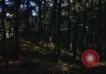 Image of Sylvania Recreation Area Michigan United States USA, 1967, second 15 stock footage video 65675068315
