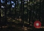 Image of Sylvania Recreation Area Michigan United States USA, 1967, second 16 stock footage video 65675068315