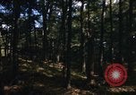Image of Sylvania Recreation Area Michigan United States USA, 1967, second 17 stock footage video 65675068315