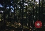 Image of Sylvania Recreation Area Michigan United States USA, 1967, second 18 stock footage video 65675068315