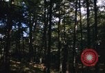 Image of Sylvania Recreation Area Michigan United States USA, 1967, second 19 stock footage video 65675068315