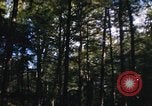 Image of Sylvania Recreation Area Michigan United States USA, 1967, second 20 stock footage video 65675068315