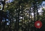 Image of Sylvania Recreation Area Michigan United States USA, 1967, second 21 stock footage video 65675068315