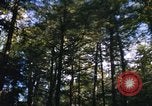Image of Sylvania Recreation Area Michigan United States USA, 1967, second 22 stock footage video 65675068315