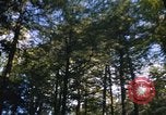 Image of Sylvania Recreation Area Michigan United States USA, 1967, second 23 stock footage video 65675068315