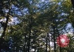 Image of Sylvania Recreation Area Michigan United States USA, 1967, second 24 stock footage video 65675068315