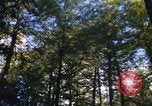 Image of Sylvania Recreation Area Michigan United States USA, 1967, second 26 stock footage video 65675068315