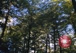 Image of Sylvania Recreation Area Michigan United States USA, 1967, second 27 stock footage video 65675068315