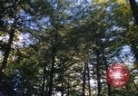 Image of Sylvania Recreation Area Michigan United States USA, 1967, second 28 stock footage video 65675068315