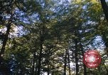Image of Sylvania Recreation Area Michigan United States USA, 1967, second 30 stock footage video 65675068315