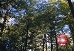 Image of Sylvania Recreation Area Michigan United States USA, 1967, second 33 stock footage video 65675068315